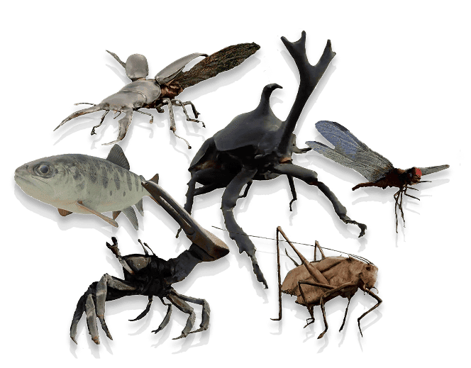 いきもの大集合イメージ