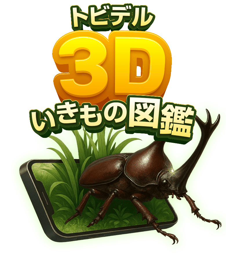 トビデル3Dいきもの図鑑