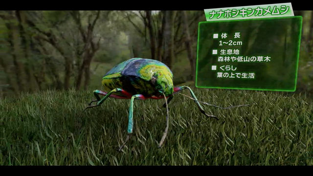 ナナホシキンカメムシ