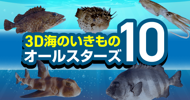 3D海のいきものオールスターズ10