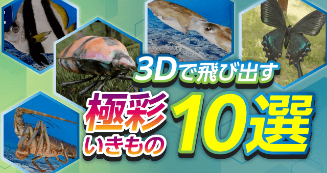 3Dで飛び出す極彩いきもの10選