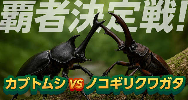 覇者決定戦！カブトムシVSノコギリクワガタ