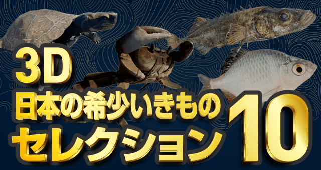 3D日本の希少いきものセレクション10