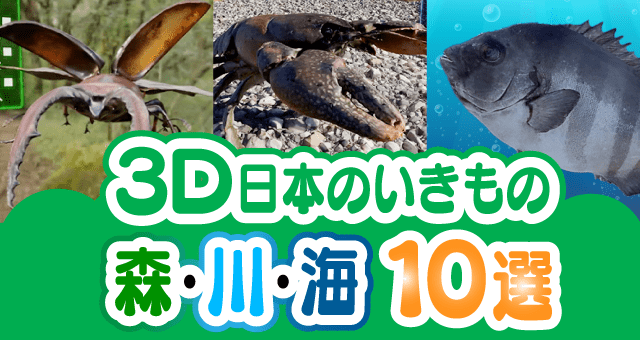 3D日本のいきもの森・川・海10選